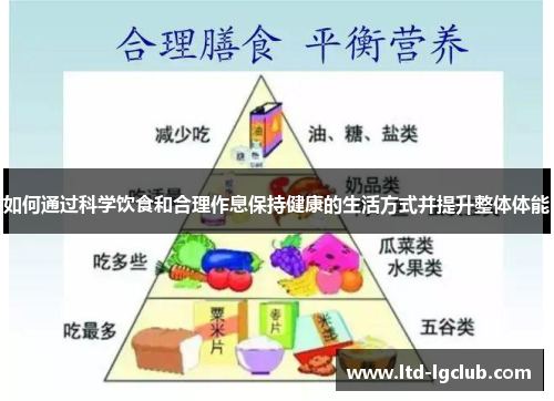 如何通过科学饮食和合理作息保持健康的生活方式并提升整体体能