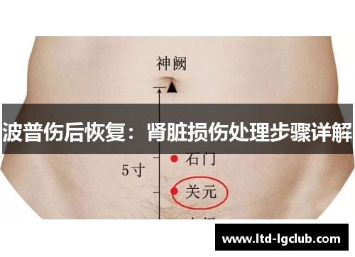 波普伤后恢复：肾脏损伤处理步骤详解