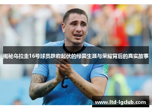 揭秘乌拉圭16号球员跌宕起伏的绿茵生涯与荣耀背后的真实故事