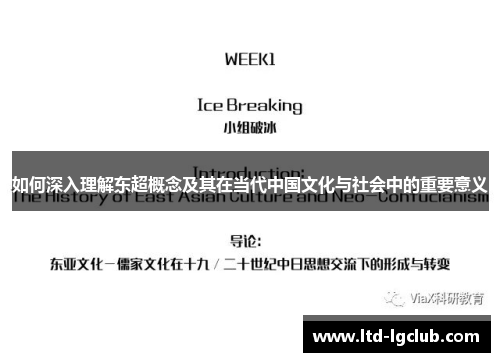 如何深入理解东超概念及其在当代中国文化与社会中的重要意义