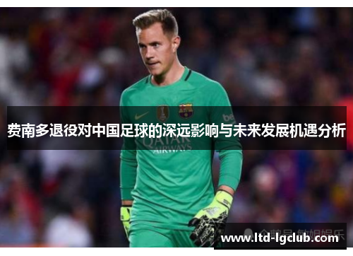 费南多退役对中国足球的深远影响与未来发展机遇分析