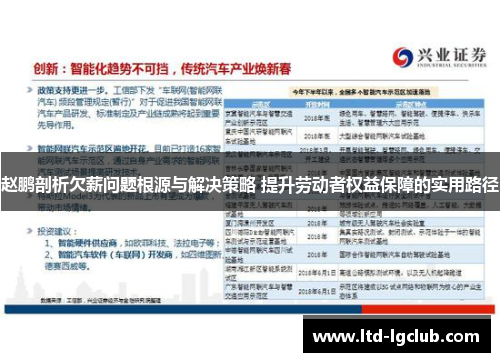 赵鹏剖析欠薪问题根源与解决策略 提升劳动者权益保障的实用路径