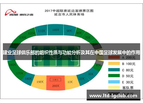 建业足球俱乐部的组织性质与功能分析及其在中国足球发展中的作用