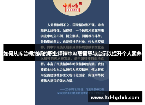如何从库普梅纳斯的职业精神中汲取智慧与启示以提升个人素养
