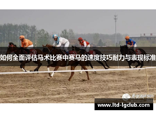 如何全面评估马术比赛中赛马的速度技巧耐力与表现标准