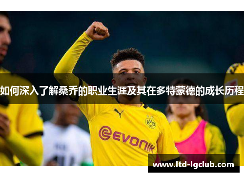 如何深入了解桑乔的职业生涯及其在多特蒙德的成长历程
