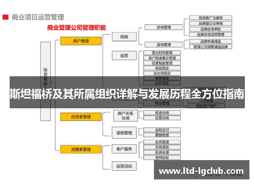 斯坦福桥及其所属组织详解与发展历程全方位指南