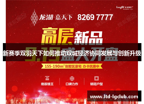 新赛季双羽天下如何推动双城经济协同发展与创新升级